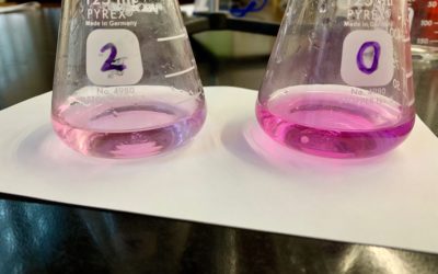 Titration Variations: Encouraging Authentic Labs
